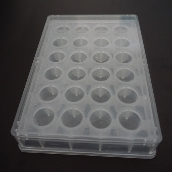 24WELLS PP PCR PLATE