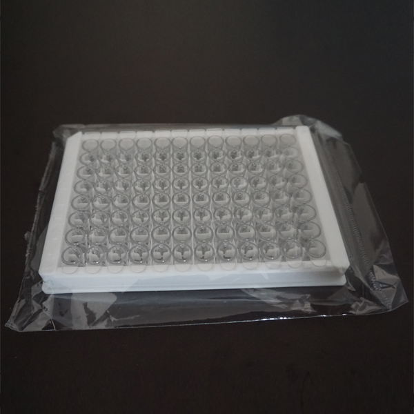 96WELLS PCR PLATE WITH WHITE SIDE