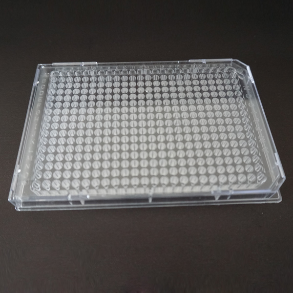 384WELLS PLATE
