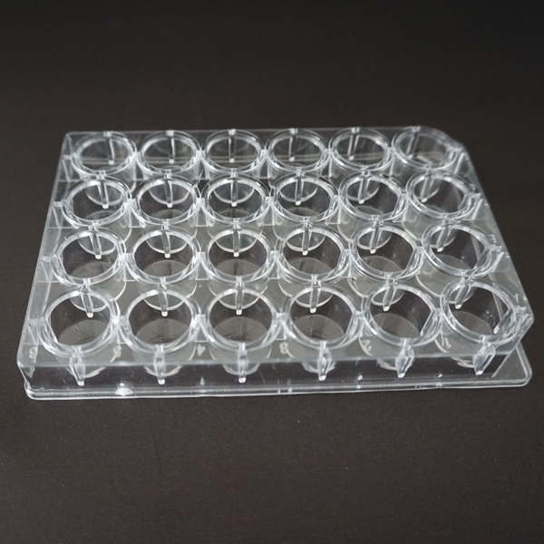24WELLS PS PCR PLATE